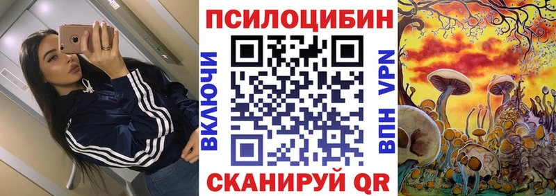 Псилоцибиновые грибы Cubensis  Ядрин 