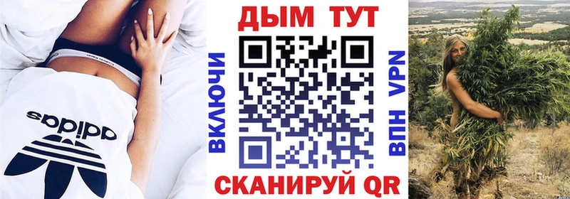 Бошки Шишки семена  наркошоп  Ядрин 